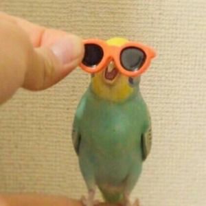 Meet your Posher, Alycia